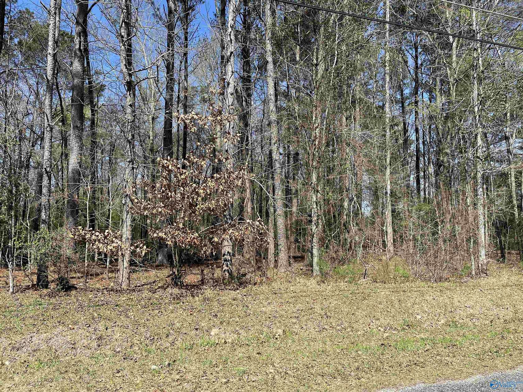 0.97 Acres of Residential Land for Sale in Rainbow City, Alabama