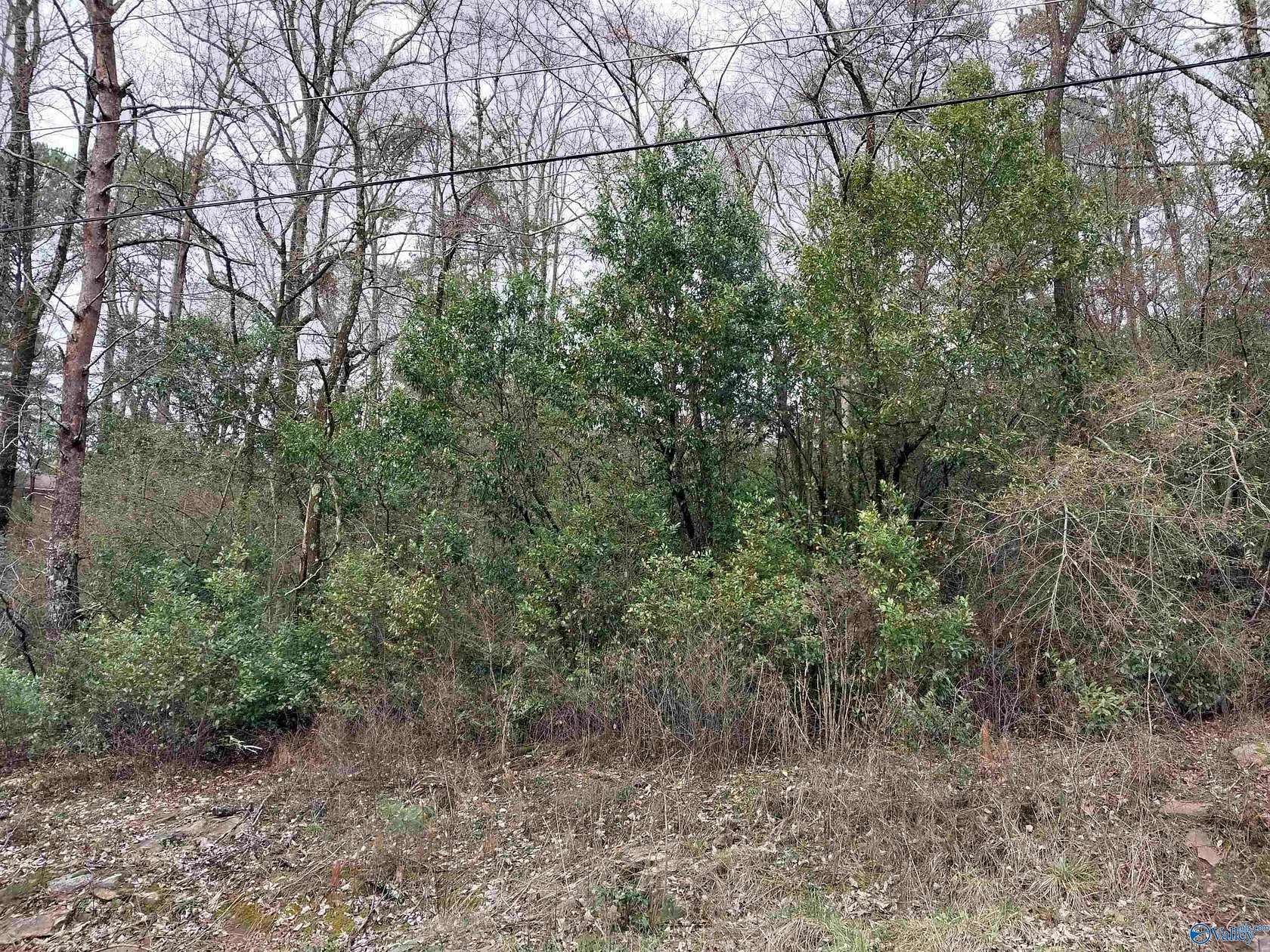 Land for Sale in Gadsden, Alabama