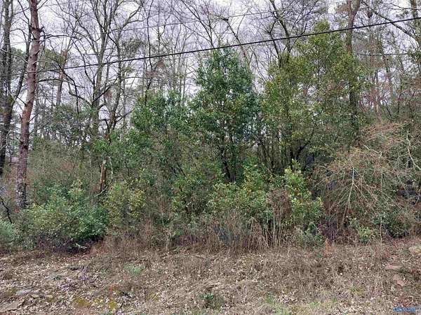 Land for Sale in Gadsden, Alabama