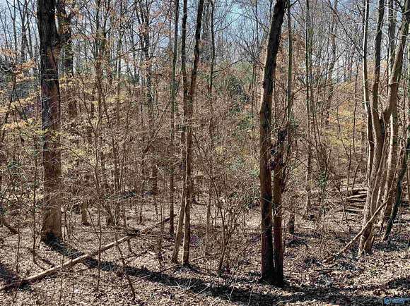 0.45 Acres of Land for Sale in Guntersville, Alabama