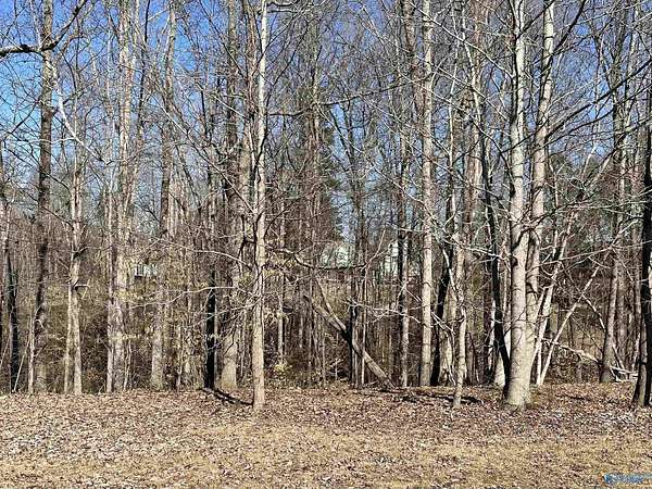 0.58 Acres of Land for Sale in Guntersville, Alabama