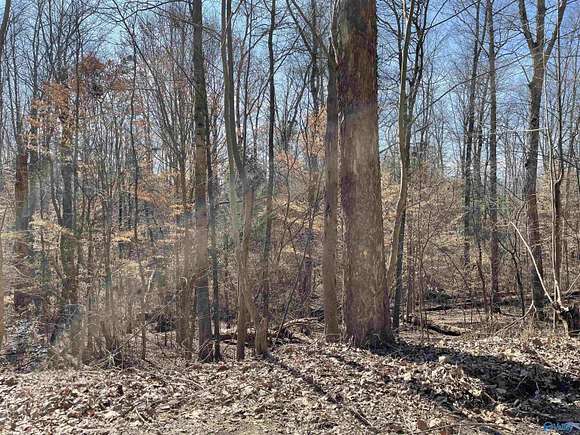 0.49 Acres of Land for Sale in Guntersville, Alabama