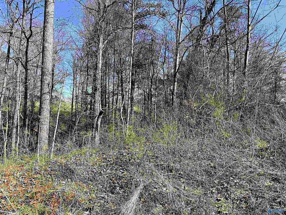 0.77 Acres of Land for Sale in Guntersville, Alabama