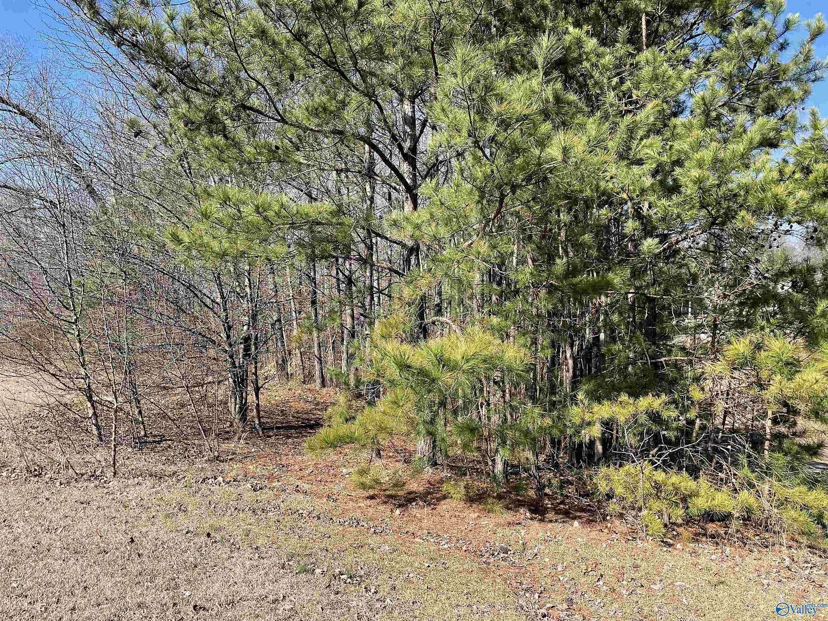 0.58 Acres of Land for Sale in Guntersville, Alabama