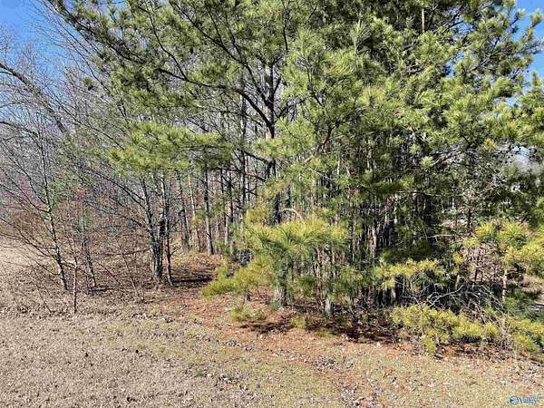 0.58 Acres of Land for Sale in Guntersville, Alabama