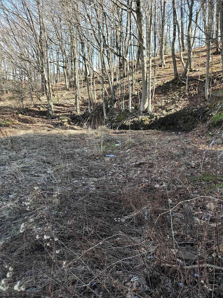 0.17 Acres of Residential Land for Sale in Thomas, West Virginia