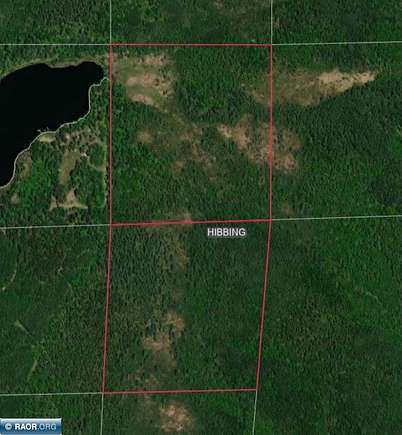 73.9 Acres of Recreational Land for Sale in Hibbing, Minnesota