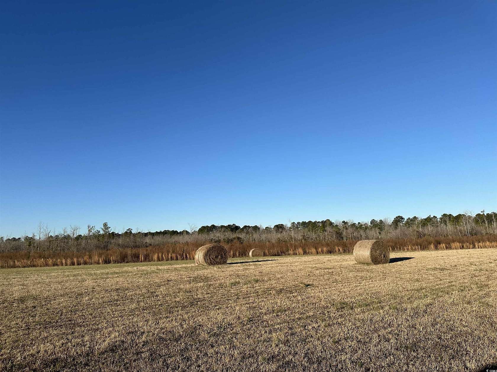 122 Acres of Land for Sale in Hemingway, South Carolina