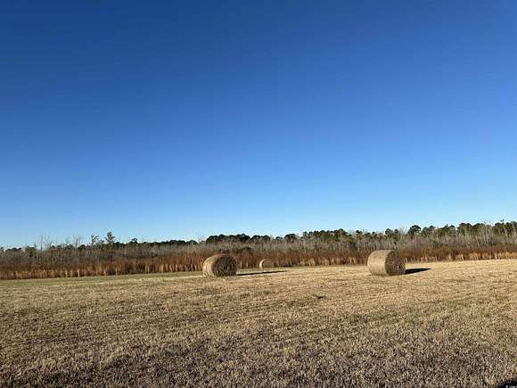 122 Acres of Land for Sale in Hemingway, South Carolina