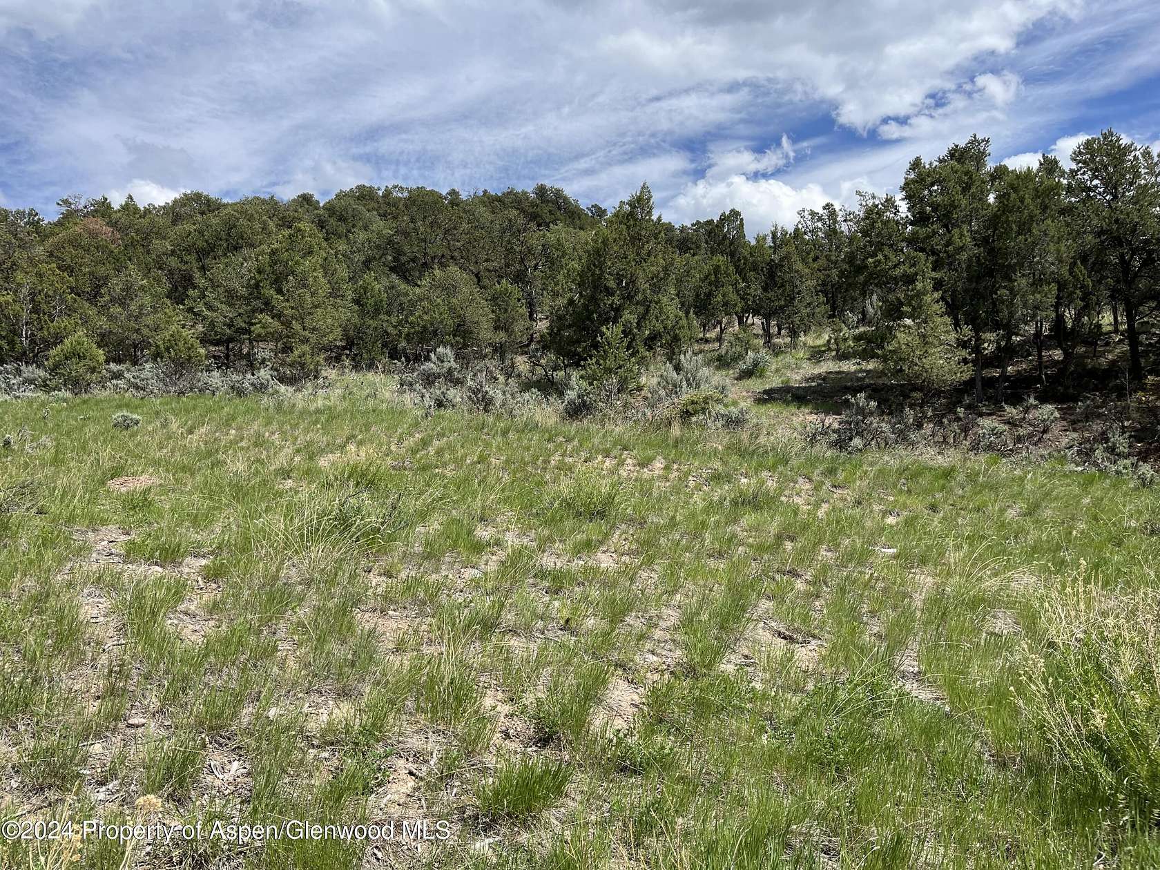 0.29 Acres of Residential Land for Sale in Glenwood Springs, Colorado