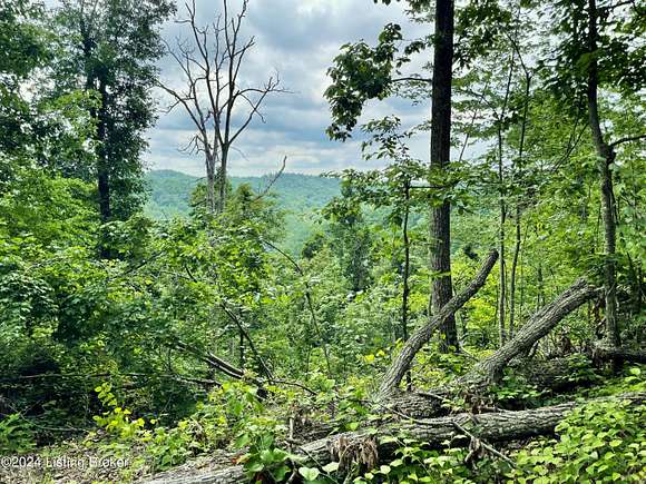 47 Acres of Recreational Land for Sale in Campton, Kentucky