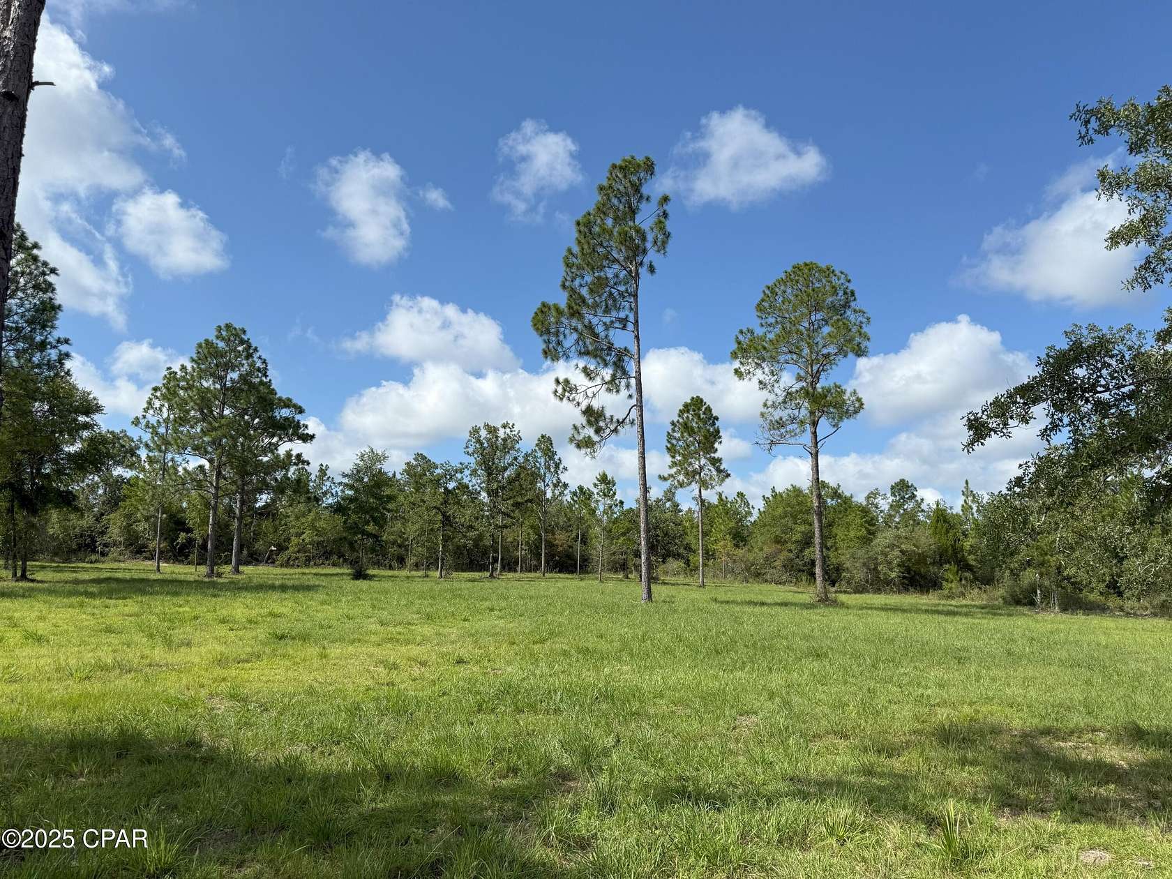 1.28 Acres of Residential Land for Sale in Marianna, Florida