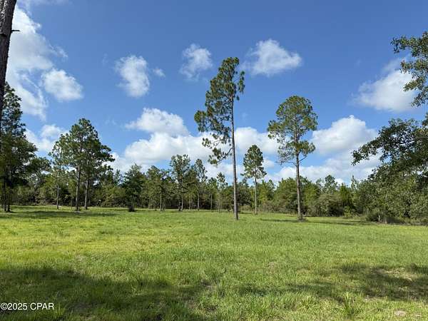 1.28 Acres of Residential Land for Sale in Marianna, Florida