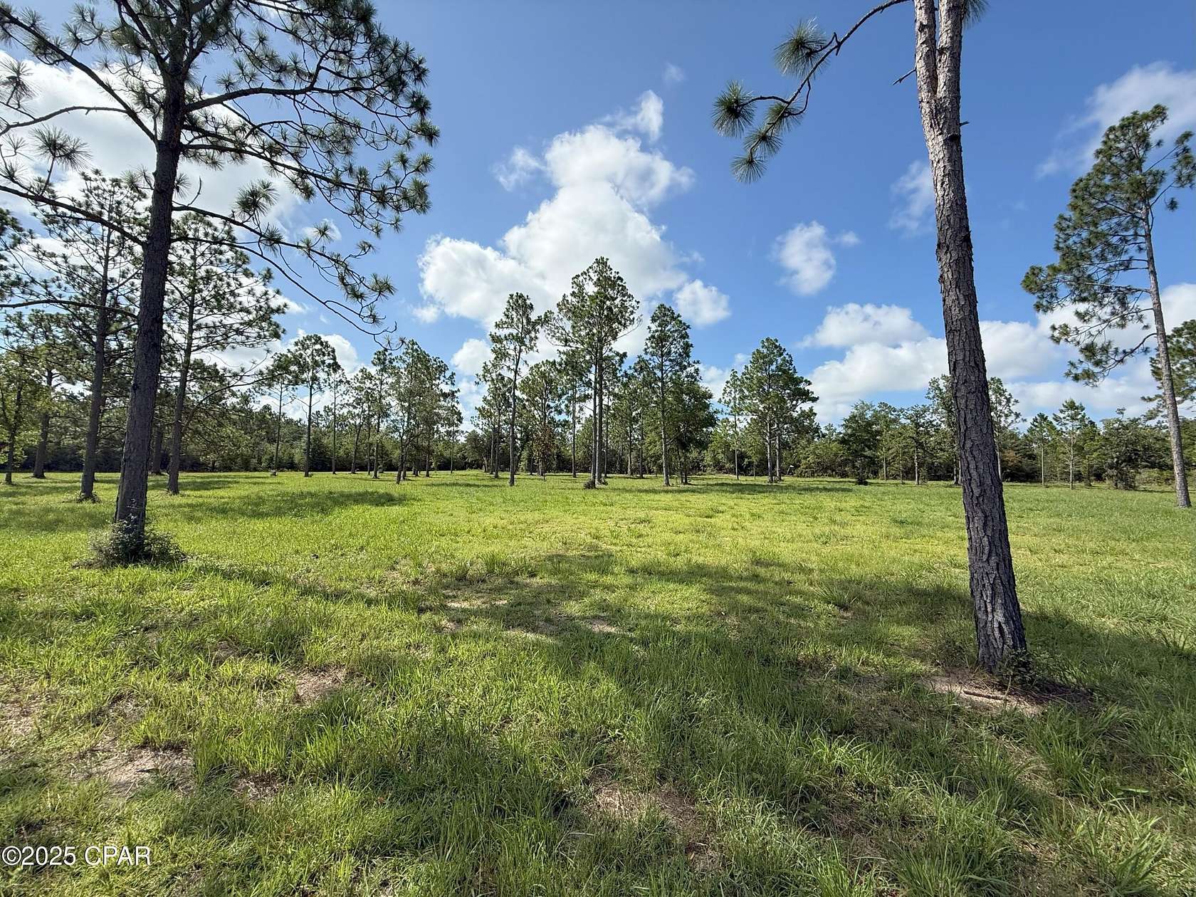 1.28 Acres of Residential Land for Sale in Marianna, Florida