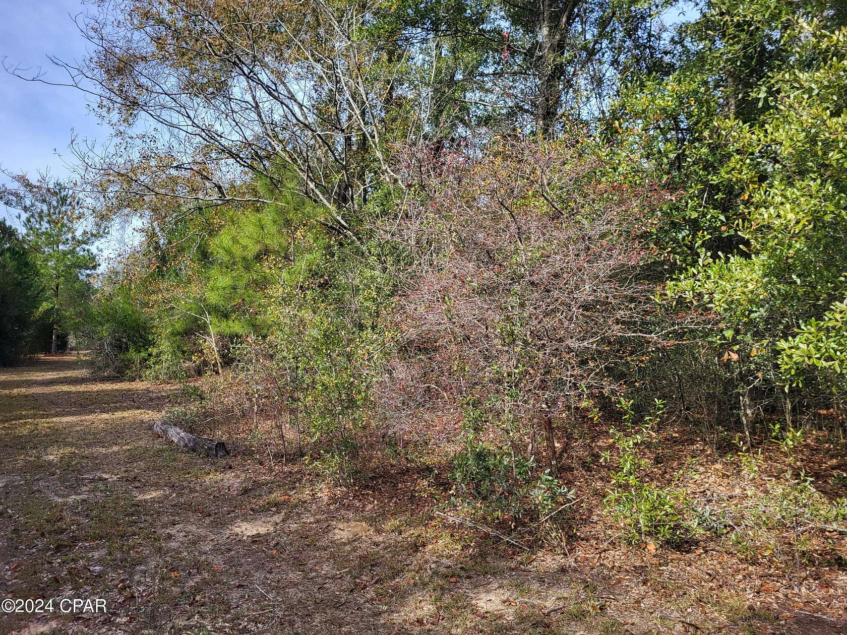 3 Acres of Residential Land for Sale in Altha, Florida