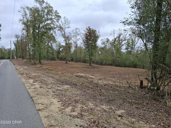 3 Acres of Residential Land for Sale in Altha, Florida