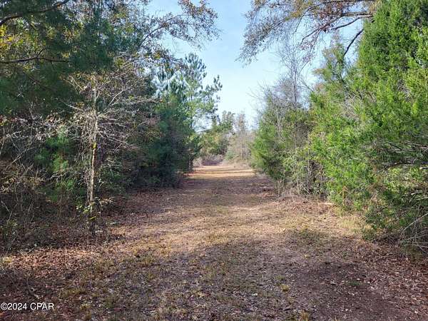 3 Acres of Residential Land for Sale in Altha, Florida