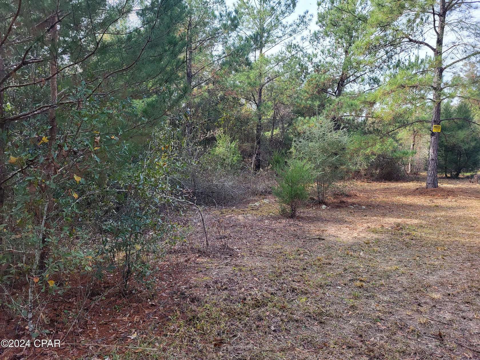 7.1 Acres of Residential Land for Sale in Altha, Florida