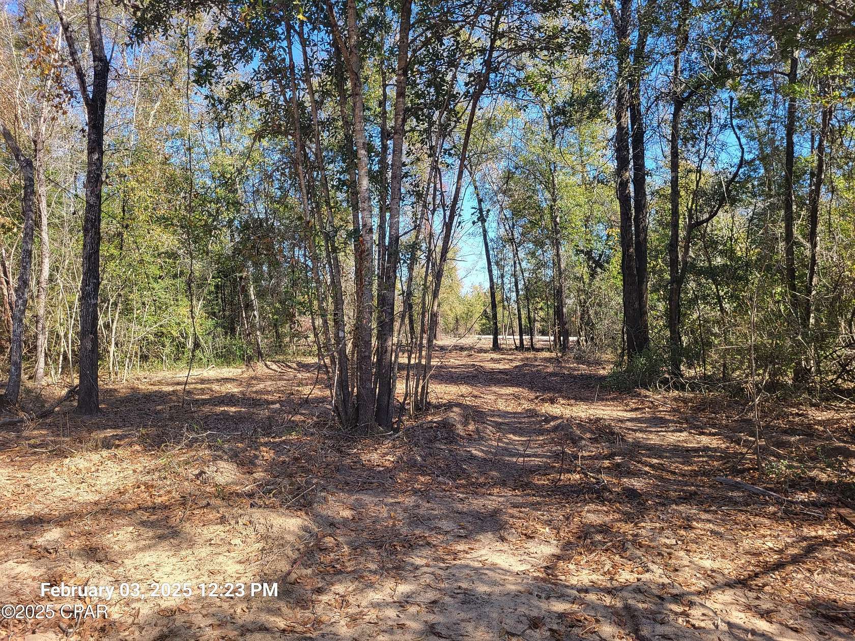 3 Acres of Residential Land for Sale in Altha, Florida