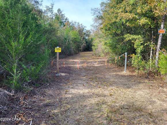 3 Acres of Residential Land for Sale in Altha, Florida