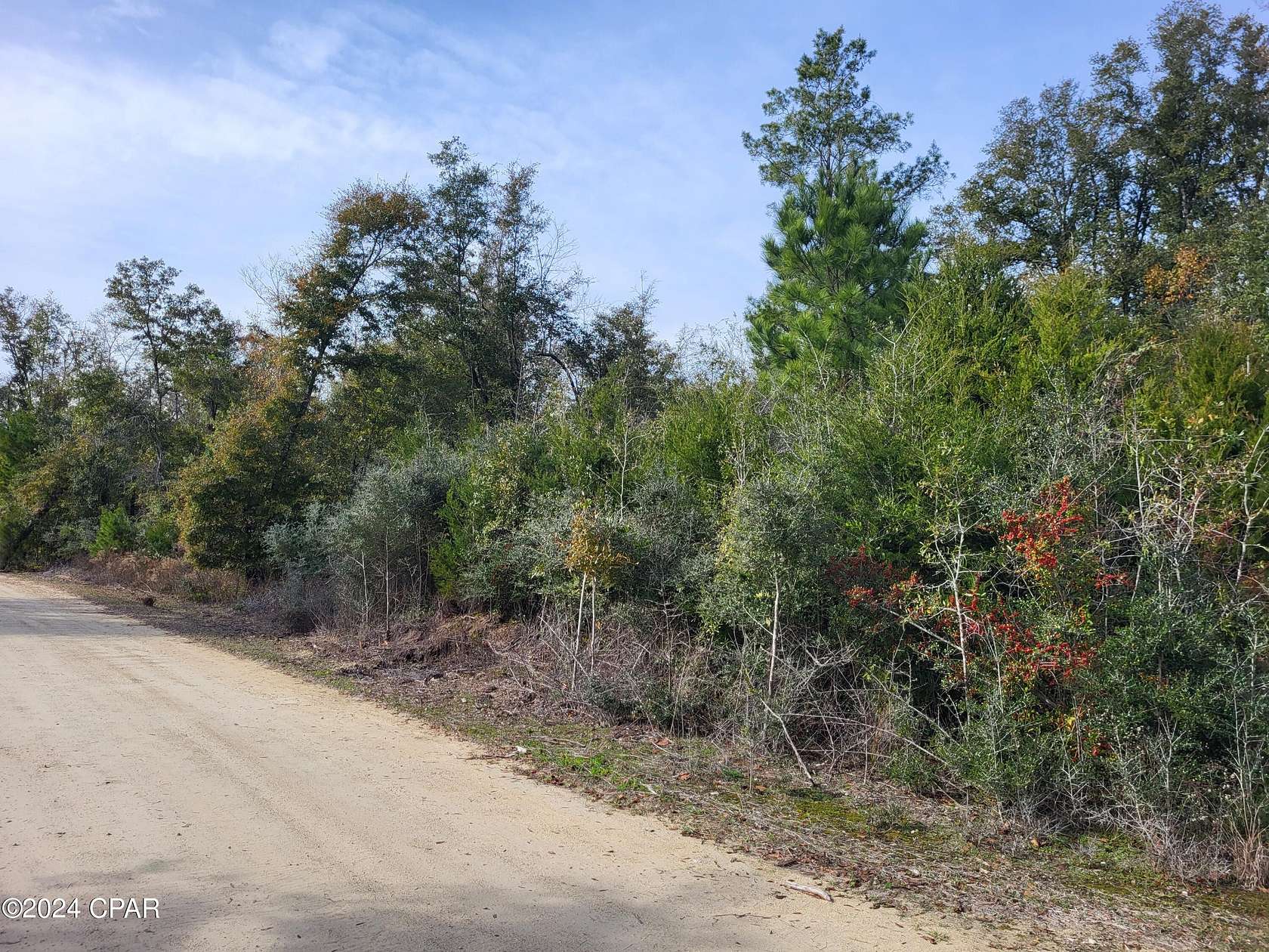 3 Acres of Residential Land for Sale in Altha, Florida