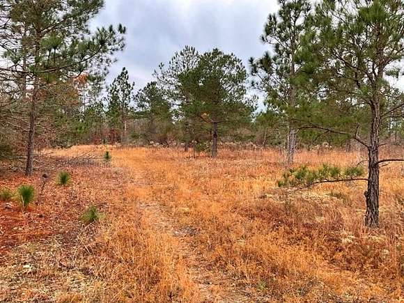 116 Acres of Recreational Land for Sale in Williston, South Carolina