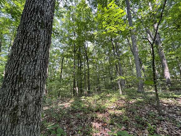 8 Acres of Recreational Land & Farm for Sale in Russellville, Alabama