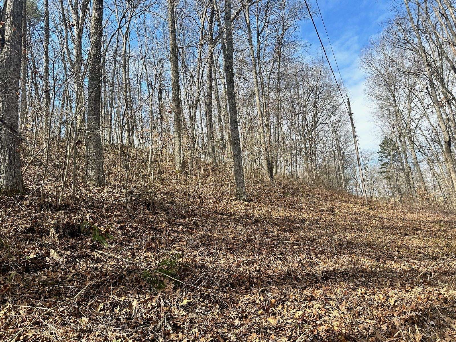10.1 Acres of Land for Sale in Beaver, Ohio