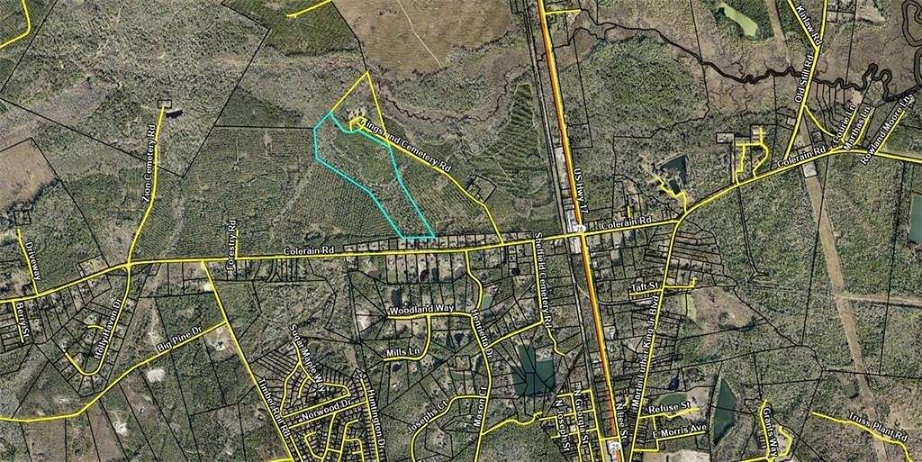 50 Acres of Land for Sale in Kingsland, Georgia
