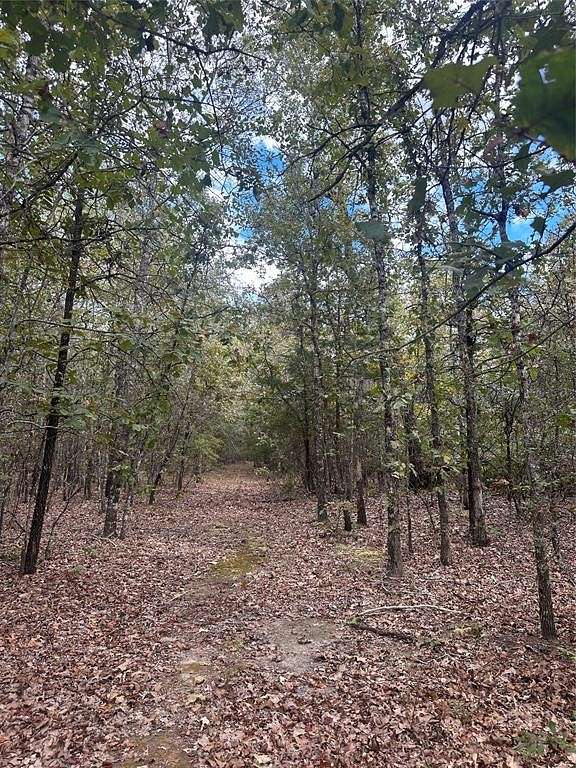 15.3 Acres of Land for Sale in Blossom, Texas