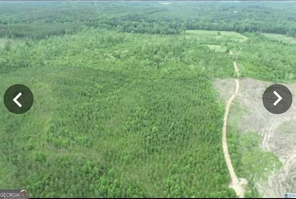 81 Acres of Recreational Land for Sale in Muscadine, Alabama