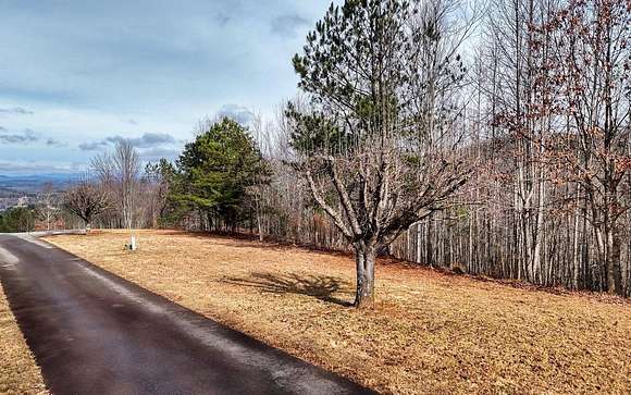 1.1 Acres of Residential Land for Sale in Blairsville, Georgia