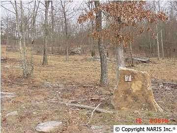 1.3 Acres of Land for Sale in Fort Payne, Alabama