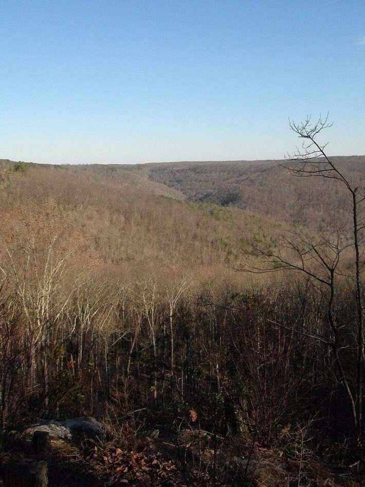 2 Acres of Land for Sale in Gurley, Alabama