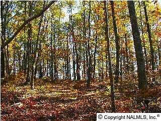 2 Acres of Land for Sale in Gurley, Alabama