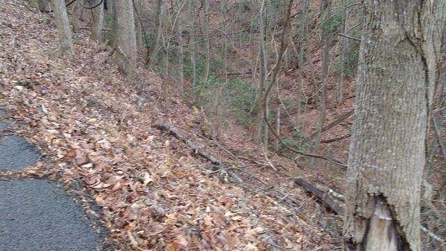 0.41 Acres of Residential Land for Sale in Gatlinburg, Tennessee