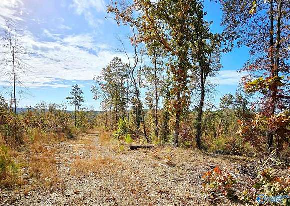 54 Acres of Recreational Land for Sale in Hamilton, Alabama