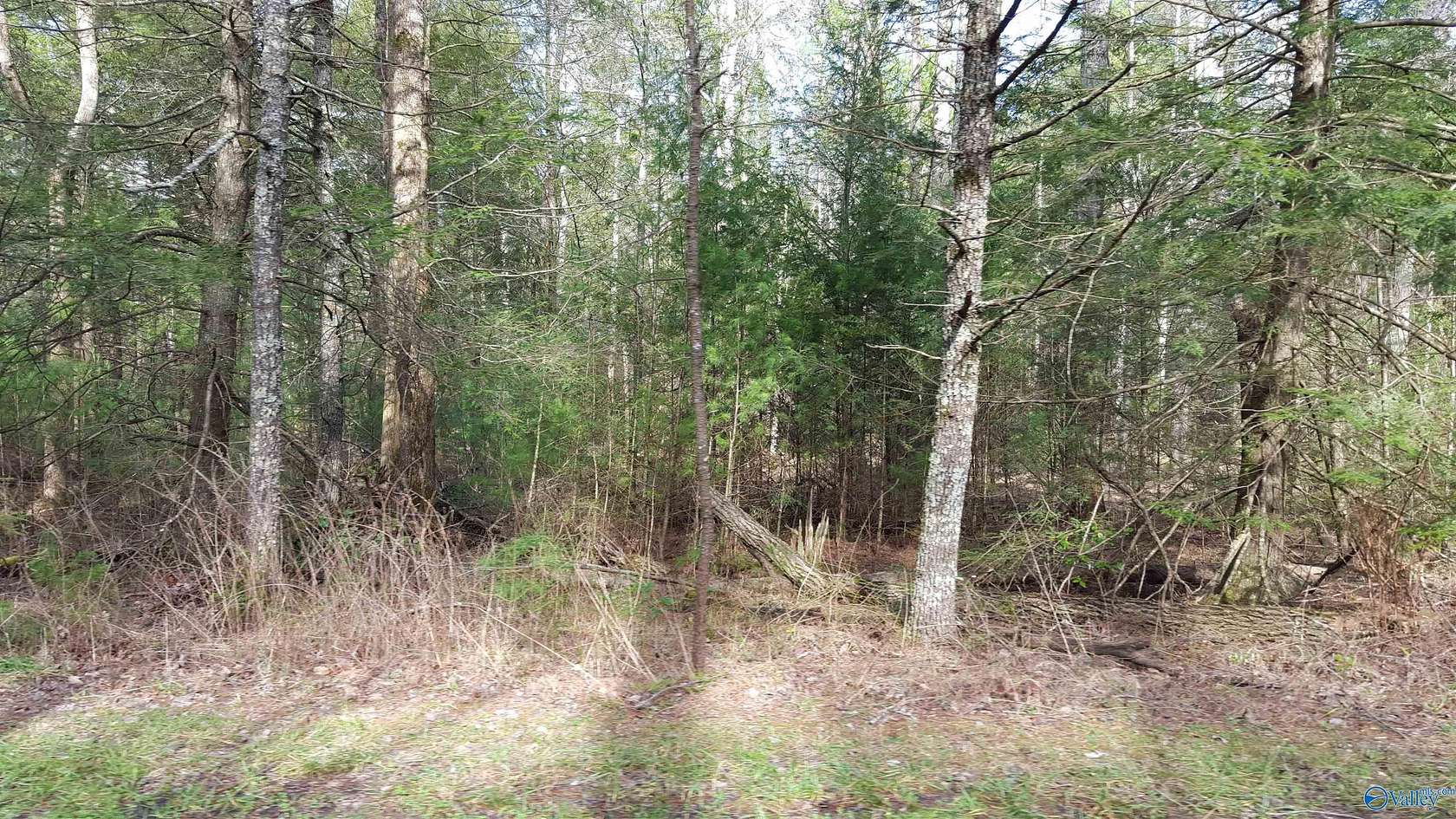 9.8 Acres of Land for Sale in Elkmont, Alabama