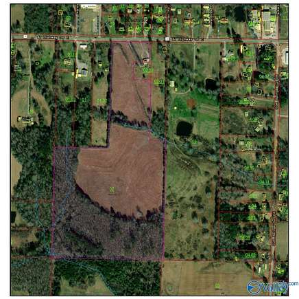 54 Acres of Agricultural Land for Sale in Hartselle, Alabama
