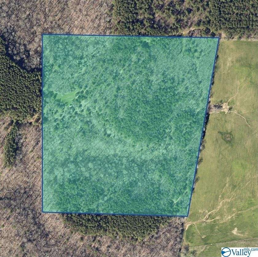 36 Acres of Land for Sale in Moulton, Alabama