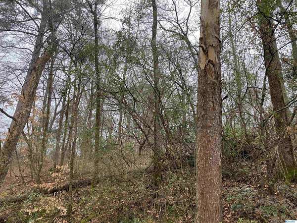 10 Acres of Residential Land for Sale in Hartselle, Alabama