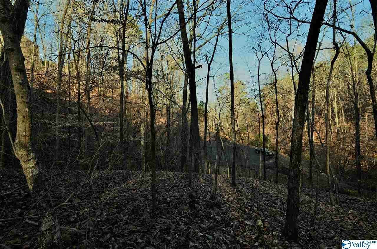5 Acres of Residential Land for Sale in Gadsden, Alabama