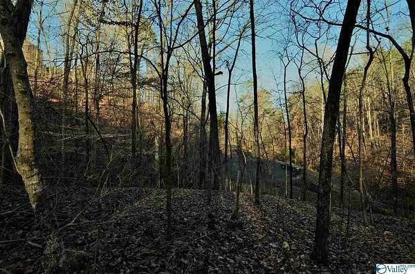 5 Acres of Residential Land for Sale in Gadsden, Alabama