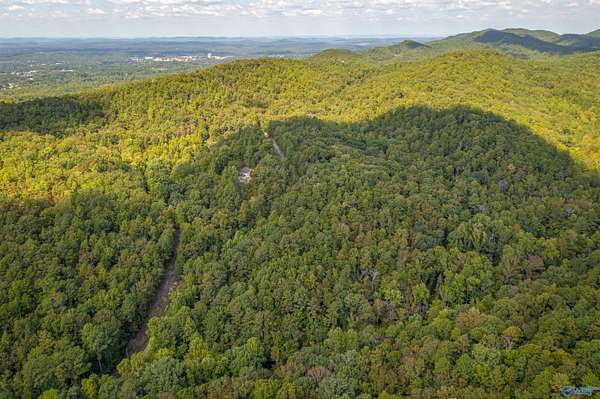 32 Acres of Land for Sale in Jacksonville, Alabama