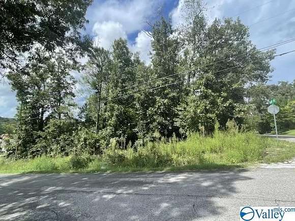 0.51 Acres of Land for Sale in Southside, Alabama