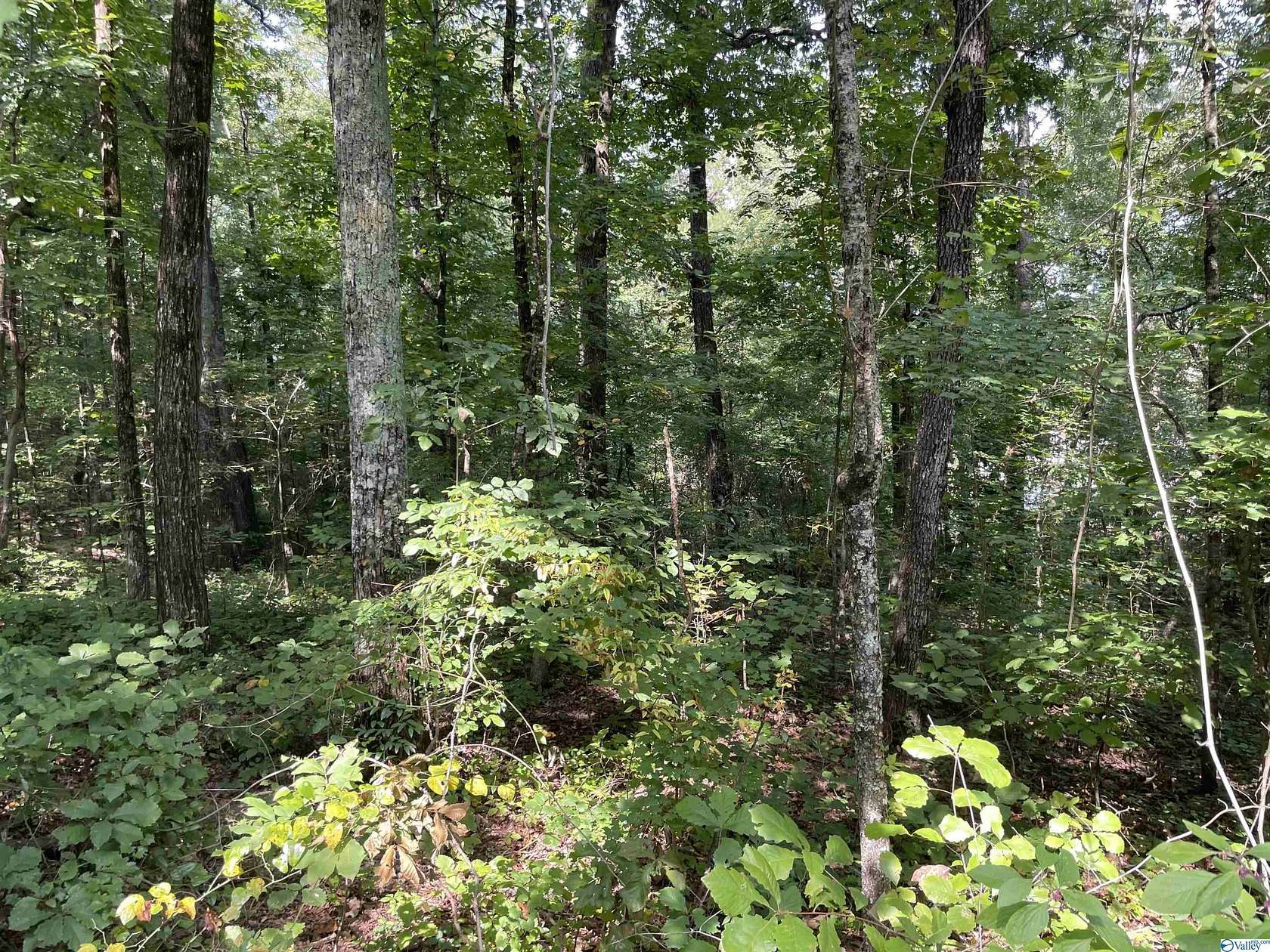 0.53 Acres of Land for Sale in Southside, Alabama