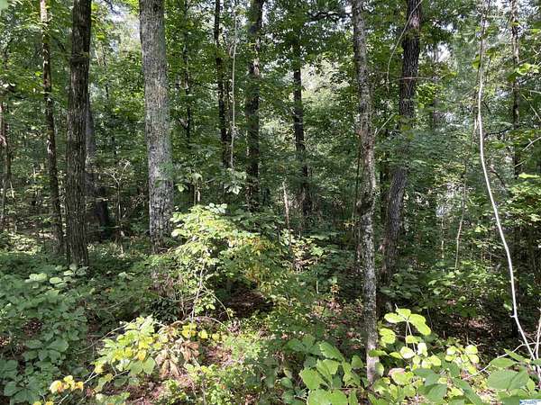 0.53 Acres of Land for Sale in Southside, Alabama