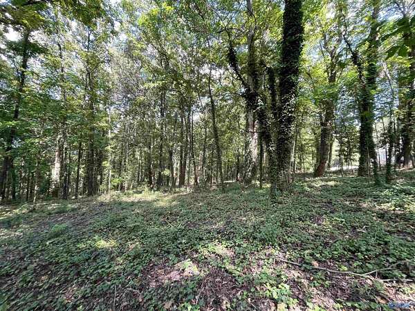 1 Acre of Residential Land for Sale in Gadsden, Alabama