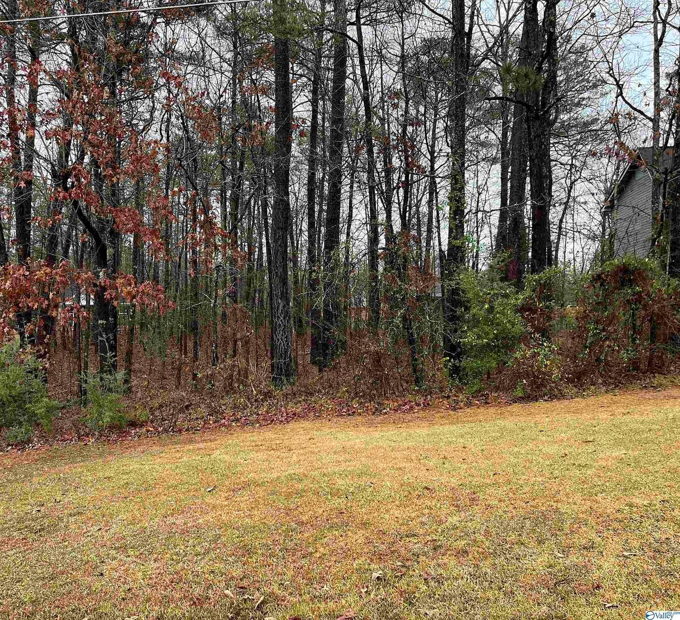 0.51 Acres of Residential Land for Sale in Centre, Alabama