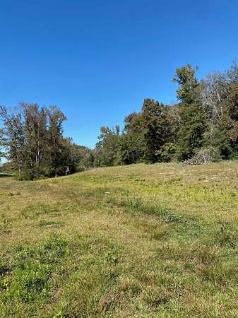 11 Acres of Land for Sale in Oakwood, Texas
